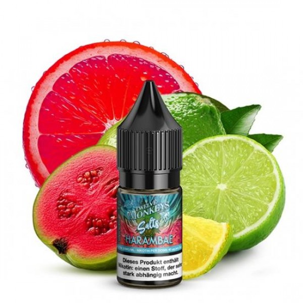 Twelve Monkeys HARAMBAE ICED Nikotinsalz SALT NIC Liquid 20 mg / 10 ml