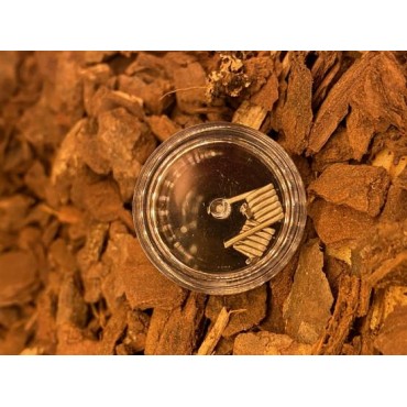 Vandy Vape MATO RDTA Fine Fused Clapton Coil NI80+NI90 4 mm 5 Wicks SINGLE 0.20 Ohm