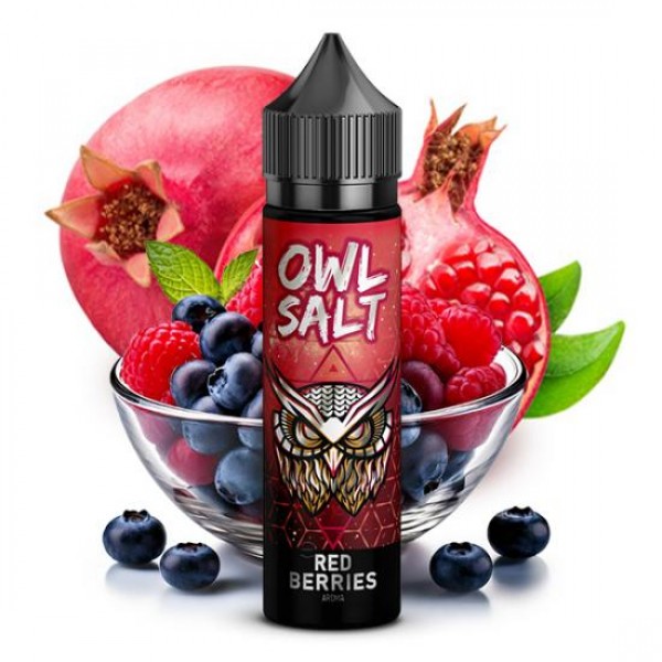 OWL Salt Red Berries Aroma Longfill 10 ml / 60 ml